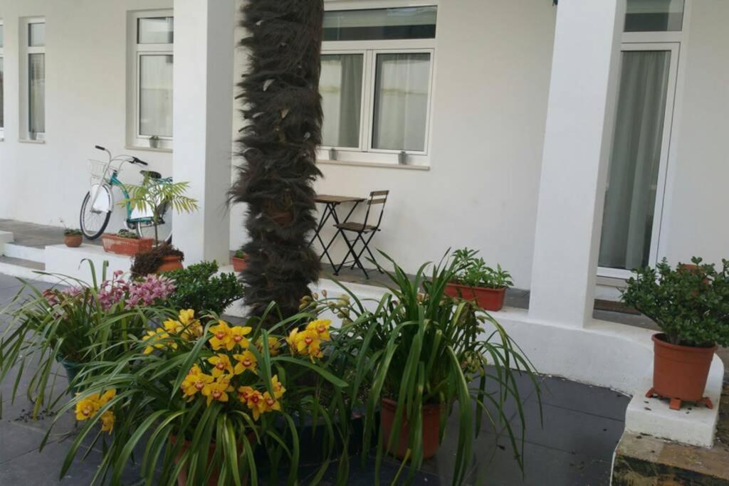 Albergue Dos Cagareus II Aveiro Exterior foto